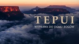 Tepui - wyprawa do domu bogów