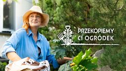 Przekopiemy ci ogródek
