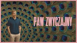 Paw zwyczajny