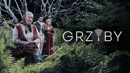 Grzyby