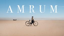 Amrum