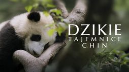 Dzikie tajemnice Chin