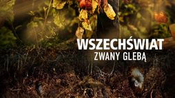 Wszechświat zwany glebą