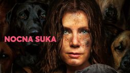 Nocna suka