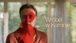 Wróbel w kominie