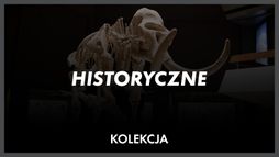 Z historią w tle
