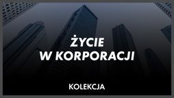 Biura, firmy, korporacje