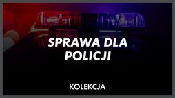 Policjanci na tropie