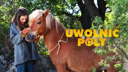 Uwolnić Poly