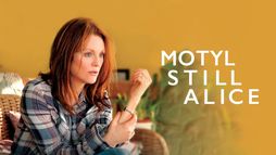 Motyl Still Alice