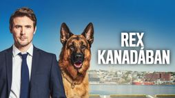 Rex Kanadában