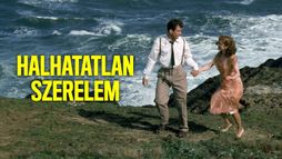 Halhatatlan szerelem