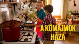 A kőmajmok háza