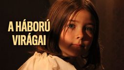 A háború virágai