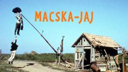 Macska-jaj
