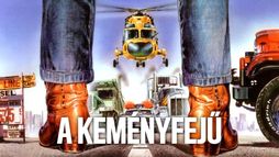 A keményfejű