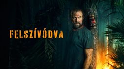 Felszívódva