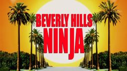 A Beverly Hills-i nindzsa
