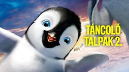 Táncoló talpak 2.