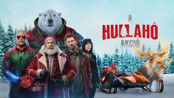 A hullahó-akció