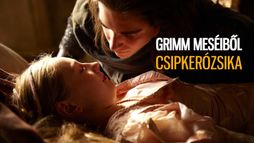 Grimm meséiből: Csipkerózsika