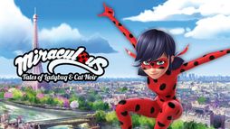 Miraculous Katicabogár és Fekete Macska kalandjai