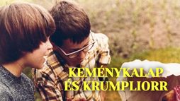 Keménykalap és krumpliorr