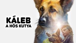 Káleb, a hős kutya