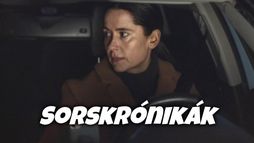 Sorskrónikák