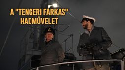A tengeri farkas hadművelet