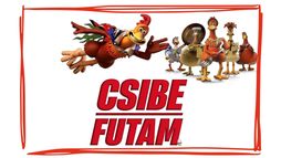 Csibefutam