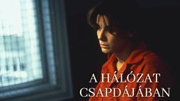 A hálózat csapdájában