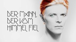 Der Mann, der vom Himmel fiel
