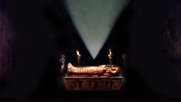 Das Erwachen der Sphinx