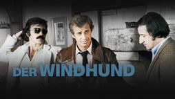 Der Windhund