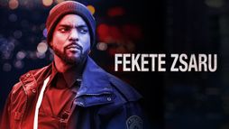 Fekete zsaru