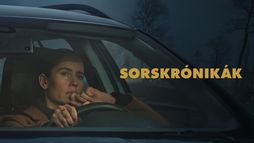 Sorskrónikák