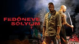 Fedőneve: Sólyom