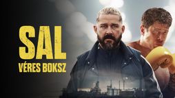 Sal - véres boksz