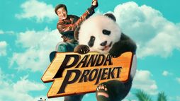 Panda projekt