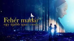 Fehér madár - egy újabb igazi csoda