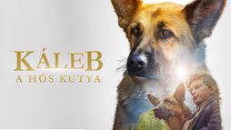 Káleb, a hős kutya