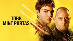 Több mint portás