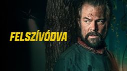 Felszívódva