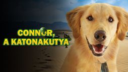 Connor, a katonakutya