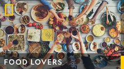 FOOD LOVERS