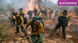 Line of Fire