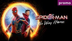 Spider-Man : No Way Home