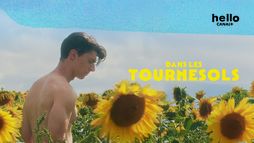 Dans les tournesols