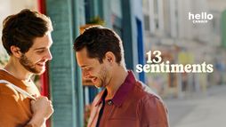 13 sentiments